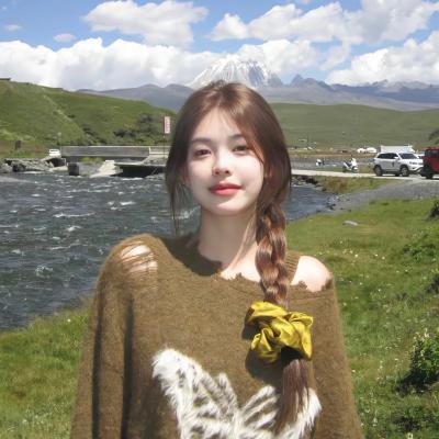 足球流氓2005